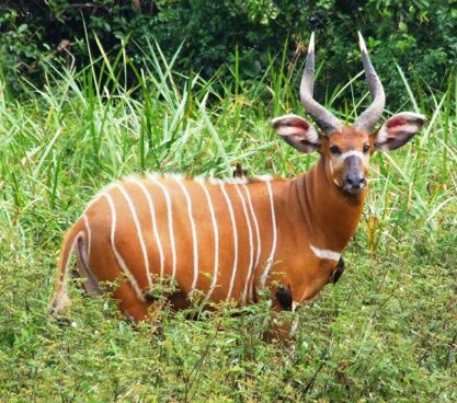 瘦成一道闪电冷知识,闪电冷知识科普