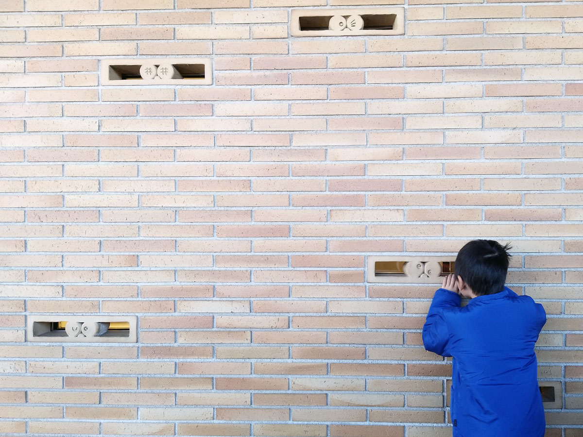 王老湿西安,王老湿直播玩的什么游戏