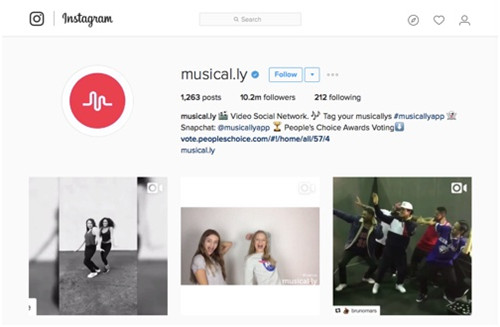 instagram上的爆款产品,instagram最流行产品