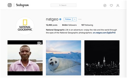 instagram上的爆款产品,instagram最流行产品