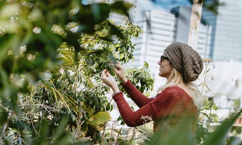 CSR共·创｜花的引领：从精神荒芜回归社区