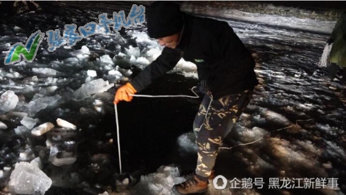 张家口新闻联播12月15日,张家口新闻报道频道