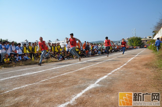 迎元旦庆新春活动视频小学,大年初一泸西有什么活动