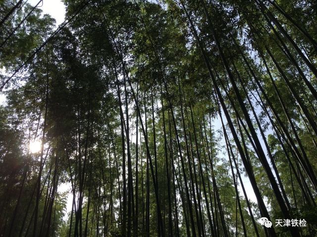 鍜岃皭鑷劧鎽勫奖浣滃搧娆ｈ祻,鍜岃皭鑷劧鎽勫奖浣滃搧