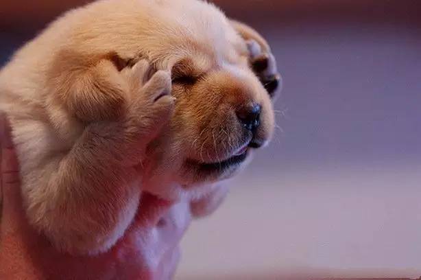 低落时听点励志歌曲吧,低落歌曲大全100首