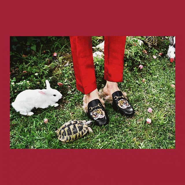 guccigarden,guccigarden在哪里