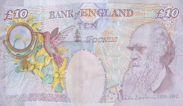 美国妹子表达对英国的羡慕嫉妒和爱：他们有哈利·波特，我们只有暮光之城