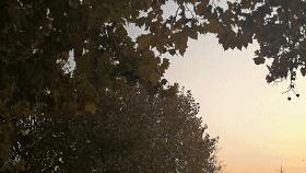 mini小黄蜂无人机,经济实惠无人机评测