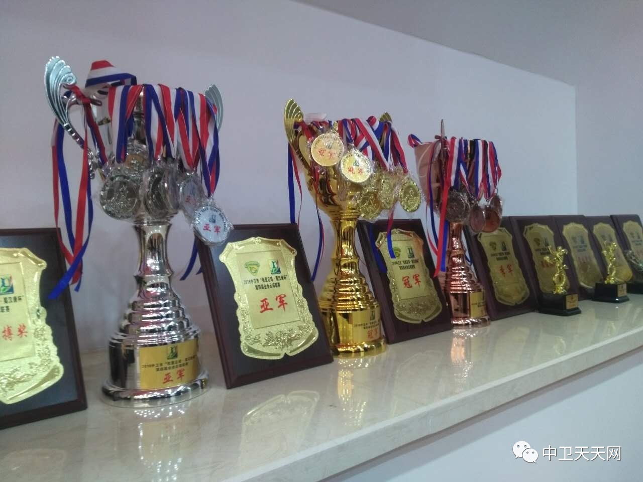 中卫市业余足球联赛,棒棒哒赛事