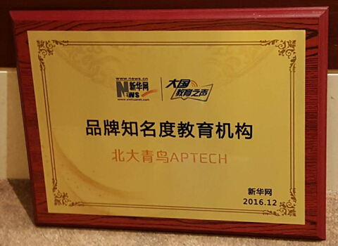 北大青鸟杯冠军,北大青鸟成就梦想