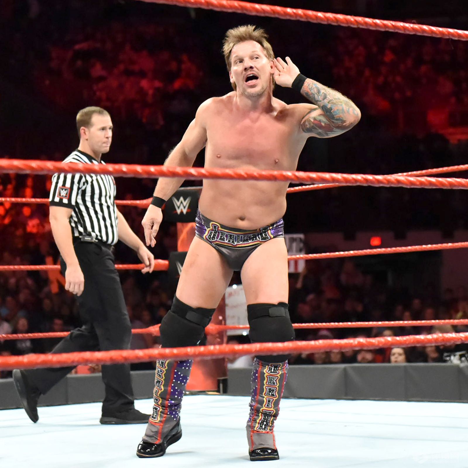 莱贝克wwe大招叫什么,莱贝克stupid