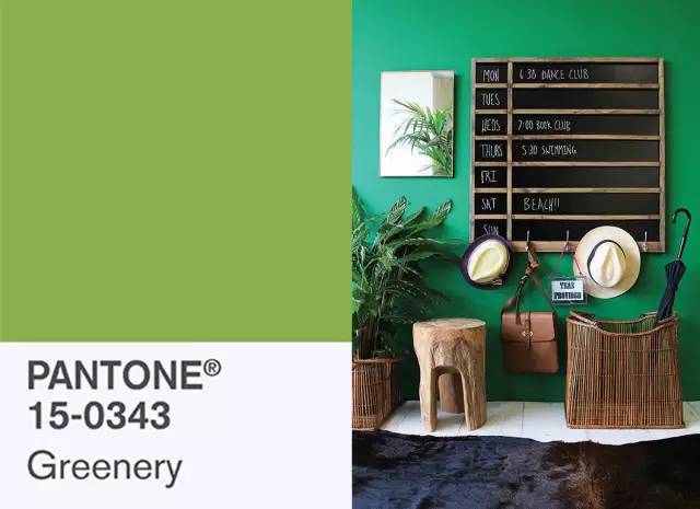 pantone公布2024年度代表色,pantone最新流行色紫外光