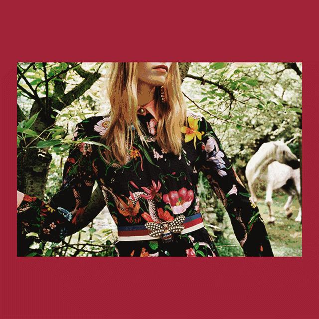 guccigarden,guccigarden在哪里