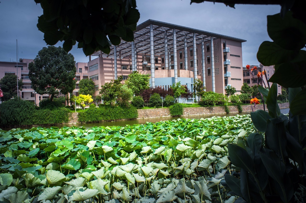 你所不知道的中国安徽完整版,马鞍山二中有多优秀