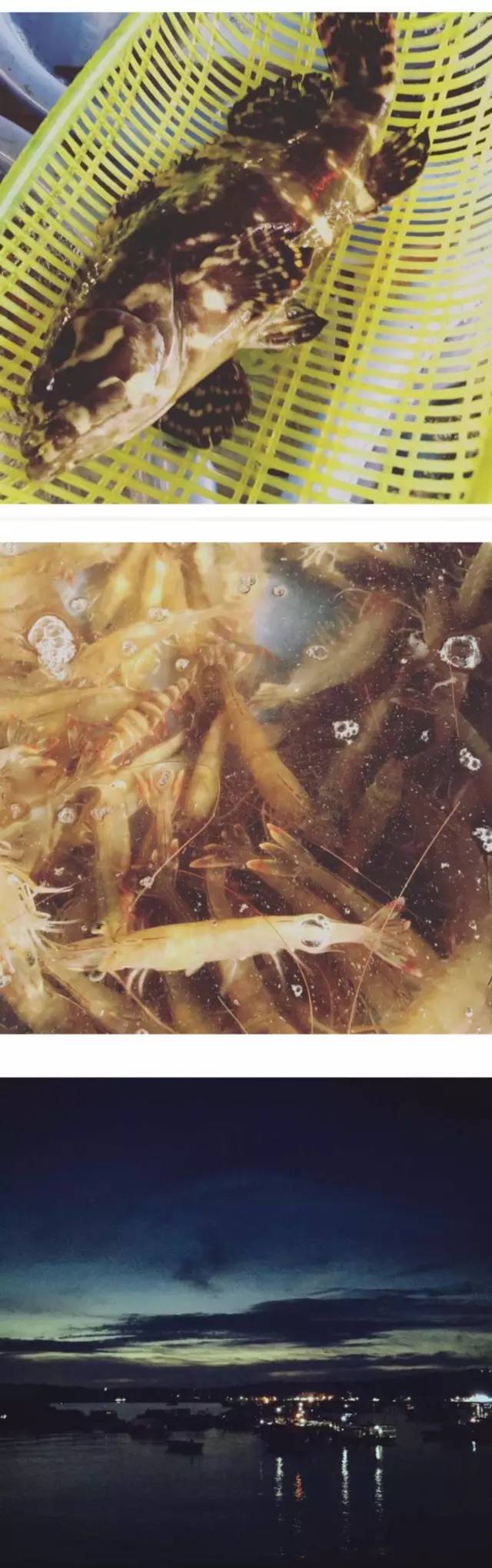 最全攻略实测揭秘不看后悔,攻略超详细