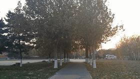 mini小黄蜂无人机,经济实惠无人机评测