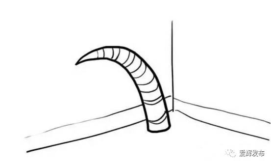 猜东北话大全,东北话看图说话