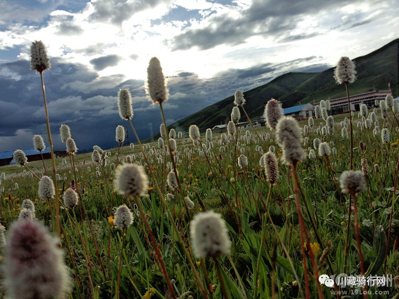骑行318到尼泊尔,29天骑行川藏之旅
