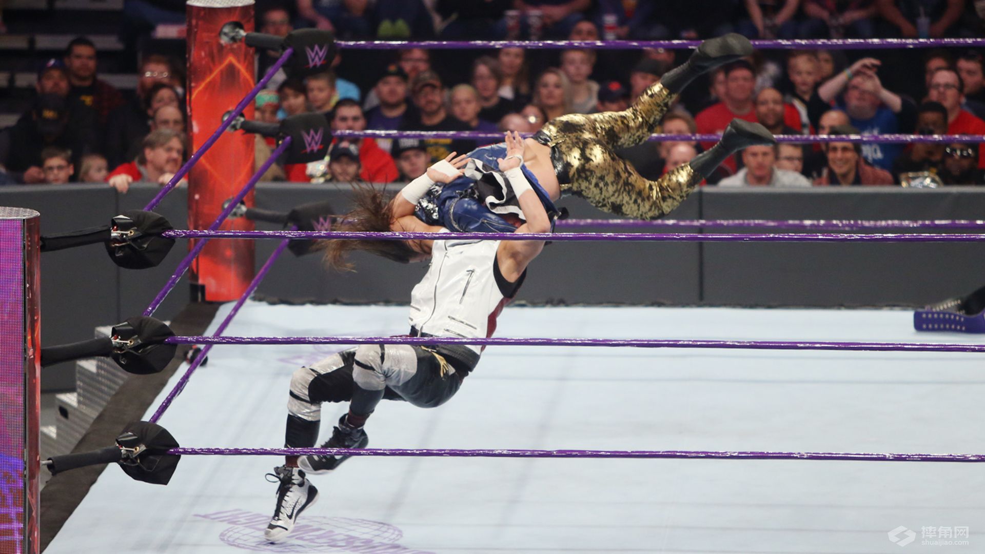 莱贝克wwe大招叫什么,莱贝克stupid