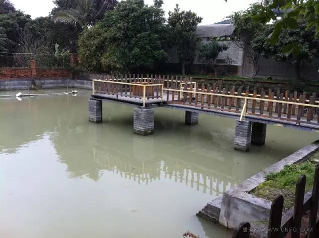 沙埕大白鹭村,福建沙埕镇小白鹭村沙滩