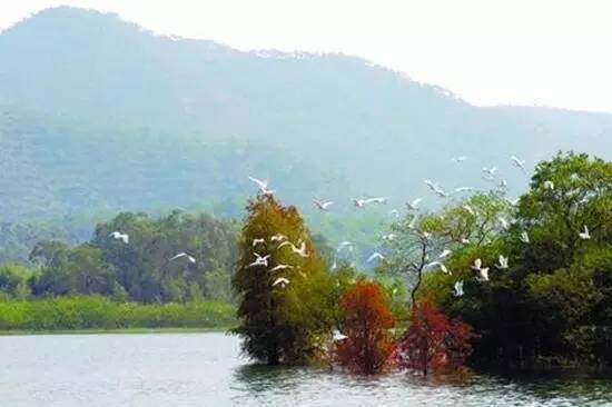 中山去深圳高速通车了吗,中山明天开通高速可以去哪里