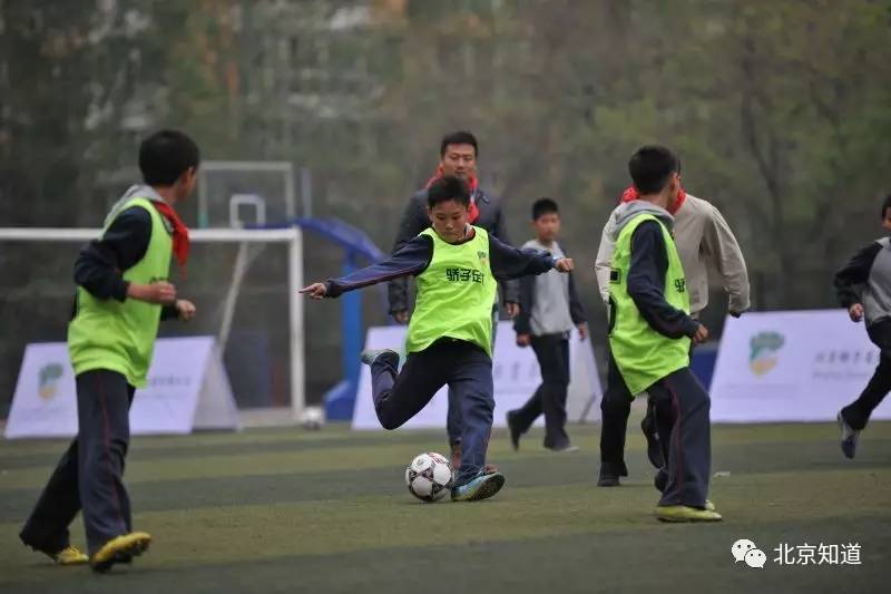前国脚第一次独立执教中甲,前国脚有哪些