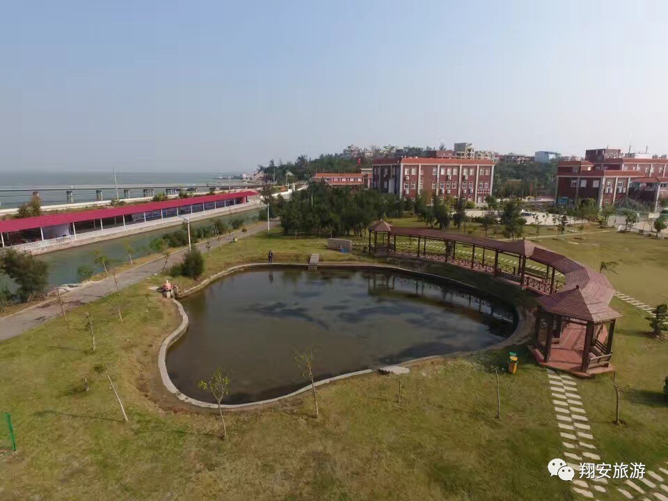 鱼我所欲也，紫菜亦我所欲也~2016翔安海岛旅游节欢乐登场