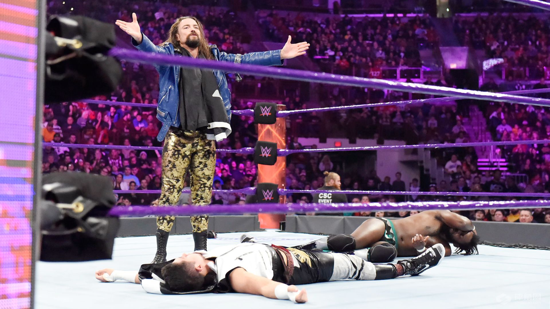 莱贝克wwe大招叫什么,莱贝克stupid