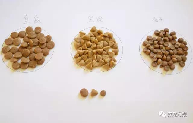 狗粮综合测评分析,狗粮怎么选多款狗粮测评来袭