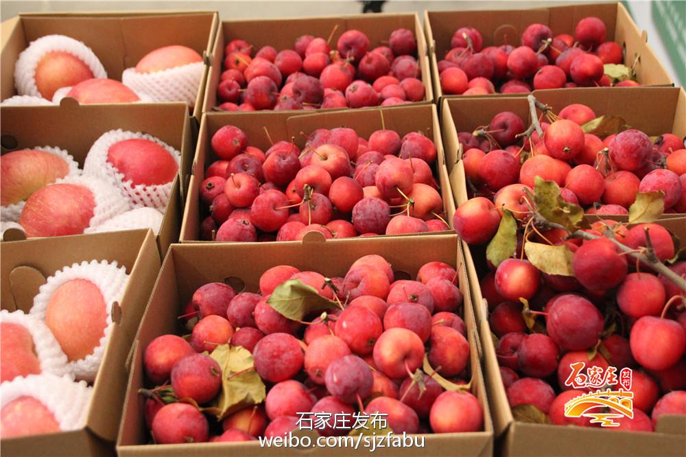 石家庄水果蔬菜电商平台,石家庄生鲜果蔬批发平台