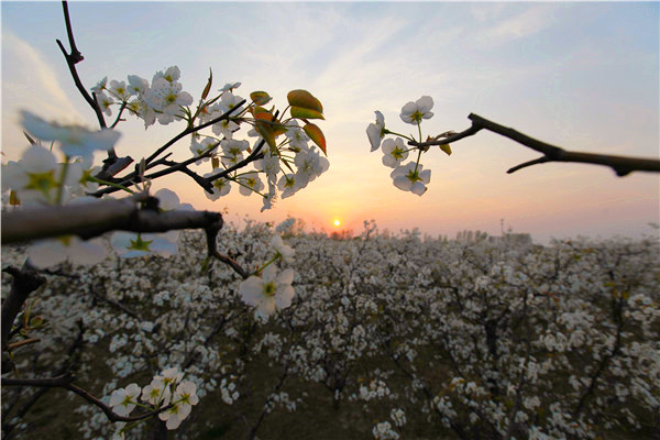 泗洪和盱眙以前是安徽的吗,安徽泗洪盱眙与徐州砀山萧县