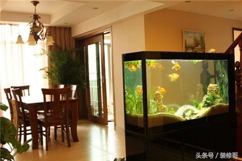 鱼缸禁忌摆放位置图,鱼缸的摆放位置禁忌要关注什么