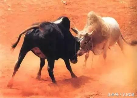 当今足坛有几种打法,足坛高空轰炸战术