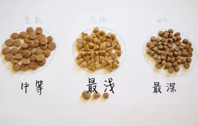 狗粮综合测评分析,狗粮怎么选多款狗粮测评来袭