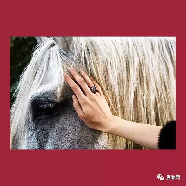 gucci2018春夏新款贝壳包,gucci2023春夏新款包包价格