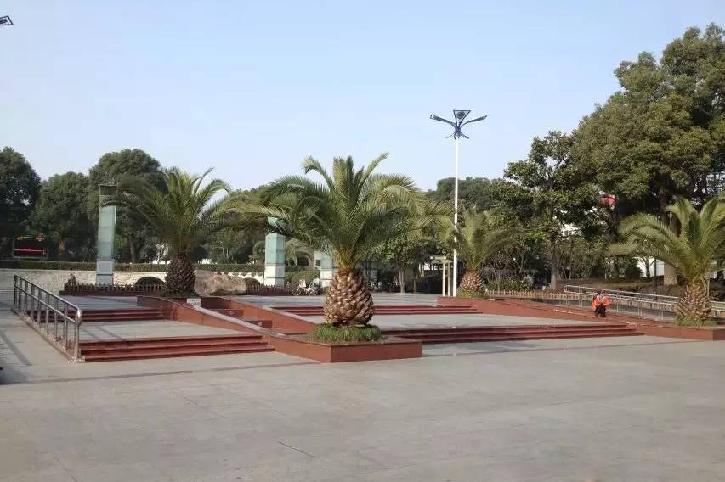 晚上必须耍酷，魔都滑板场地大搜罗！