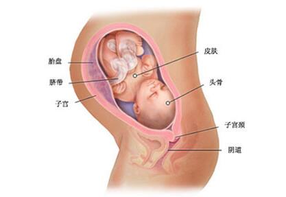 35周加4胎儿发育良好怎么处理,35周胎儿发育标准对照表最新