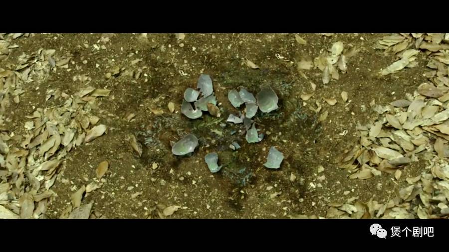 姜栋元电影截图,姜栋元最新电影叫什么