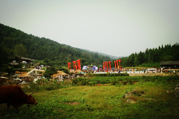 张家界自然公园一日游攻略,张家界禾田居山谷门票