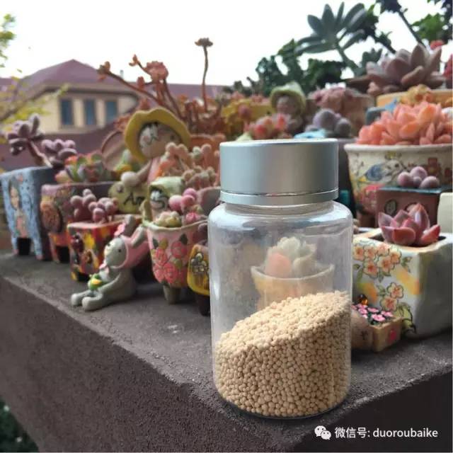 太实用了！图解多肉的配土及用药！