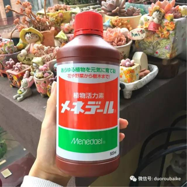 太实用了！图解多肉的配土及用药！