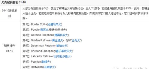 什么是德牧头版,什么是德牧的背线