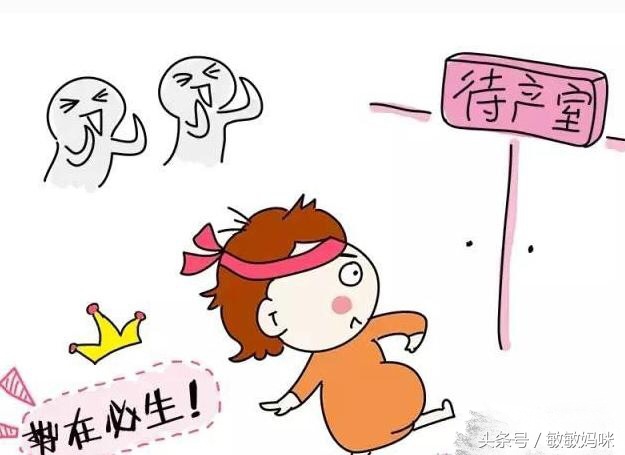 产检数据显示闺女一枚，通过熟人医生四维后确定“带水壶”小子！