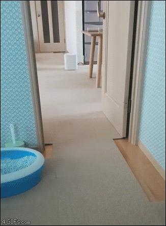 就算打不过你，我也依然是骄傲的小公举