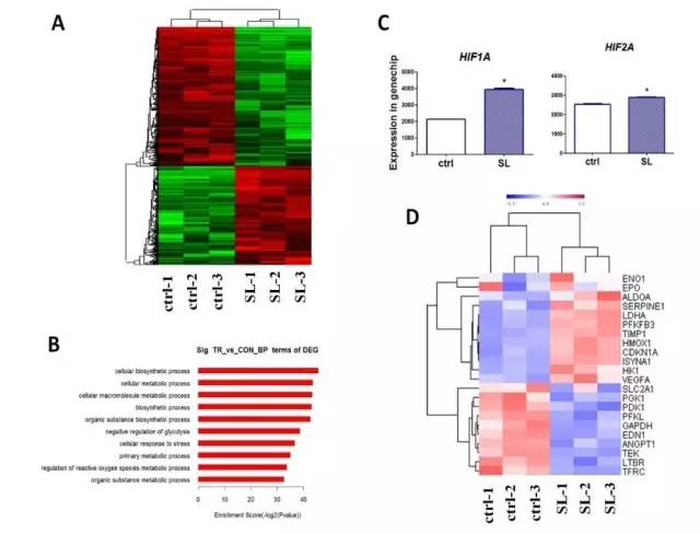 你的骨头够硬吗,你的骨头还好吗