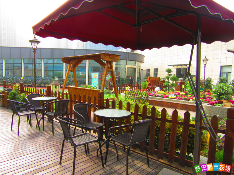 公司年会适合去的地方,公司年会去哪好