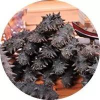 9种食物有助于孩子长高你知道么,高钙食物有助宝宝长高