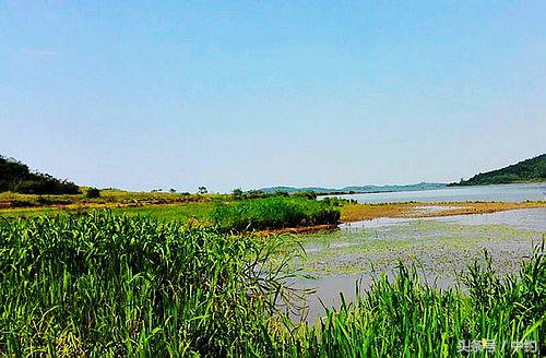 钓鱼人的一周生活,一个钓鱼人的一次完整垂钓过程