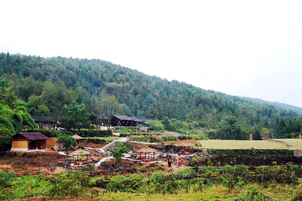 张家界自然公园一日游攻略,张家界禾田居山谷门票