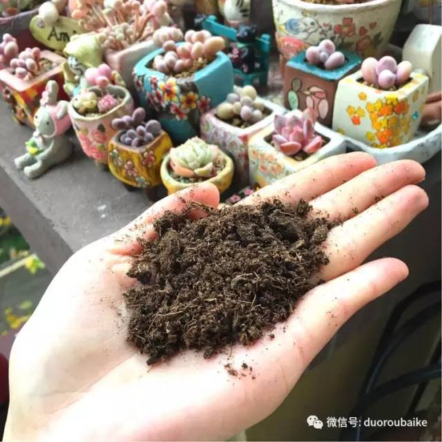 太实用了！图解多肉的配土及用药！